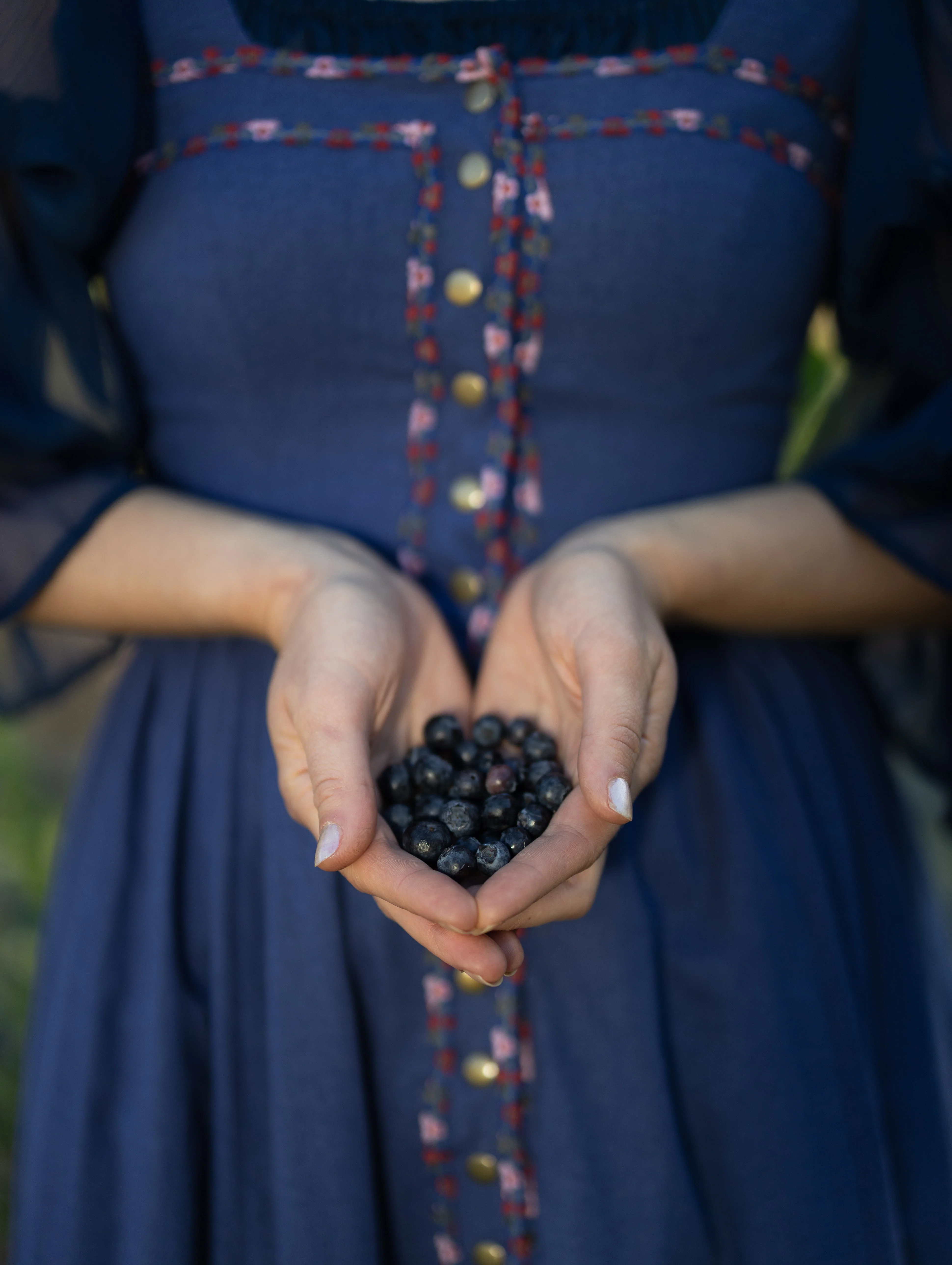 Blueberry Dirndl Dress - Image 5